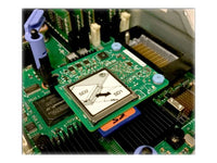 Lenovo SD Media Adapter with 2 Blank SD Media For System X