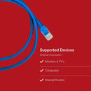 Shintaro Cat6 1m Blue Ethernet Cable 24AWG – High-Quality Network Lead