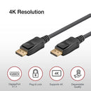 Shintaro 2m DisplayPort 1.4 Cable – 4K 120Hz, Secure Lock Connector