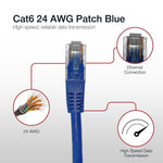 Shintaro Cat6 24 AWG Patch Blue 500MM