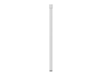 Axis T91B52 Extension Pipe 100 CM Mount